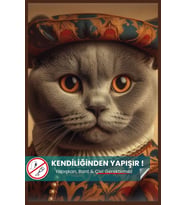 Scottish Fold Kedi Posteri, Scottish Kedi Posteri, Akıllı Kağıt Premium Poster, Yapay Zeka Tasarım
