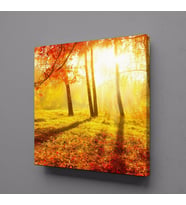 DOĞA MANZARASI KANVAS TABLO 40x40cm (Karışık)