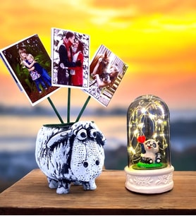 Size Özel 3 Fotoğraflı Kuzu Saksı & Led Işıklı Pandalı Fanus  Hediye Seti