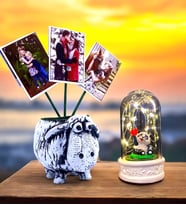 Size Özel 3 Fotoğraflı Kuzu Saksı & Led Işıklı Pandalı Fanus  Hediye Seti