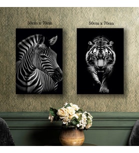 zebra kaplan tablo resim kanvas 2 adet 50x70