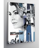 Kanvas Tablo Greys Anatomy Afiş