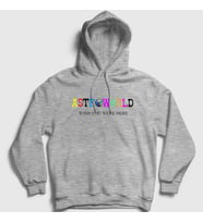Presmono Unisex Gri Astroworld V4 Travis Scott Kapüşonlu Sweatshirt 44825tt (Gri)