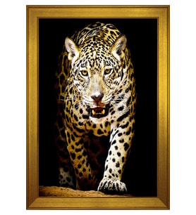 Hayvanlar Temalı Kanvas Tablo 50 x 70 cm Gold Çerçeve