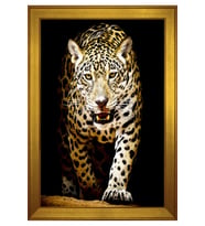 Hayvanlar Temalı Kanvas Tablo 50 x 70 cm Gold Çerçeve