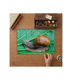 Yaprak Üzerinde Salyangoz Tasarımı 240 parça Ahşap Puzzle Ahşap Kutuda MP10901