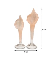 2Lİ CAM ZAMBAK SOMON 44x34 CM