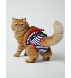 Pretty Liva Dişi Kedi Regl Külotu  Don  Kedi İç Çamaşırı  Ayarlanabilir Bağcıklı  Küçük Irklar İçin (Lacivert)