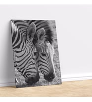 Zebra Aşkı Dekoratif Kanvas Tablo 