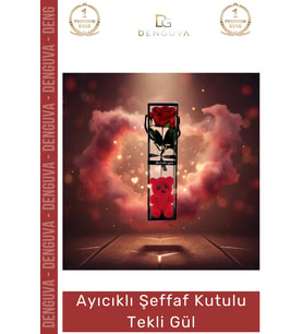 #TekliGül Ayıcıklı Hediyelik Yapay Dekoratif Sevgililer Günü Yıl Dönümü Kalıcı Şeffaf Kutulu Tekli G
