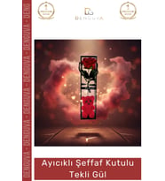 #TekliGül Ayıcıklı Hediyelik Yapay Dekoratif Sevgililer Günü Yıl Dönümü Kalıcı Şeffaf Kutulu Tekli G