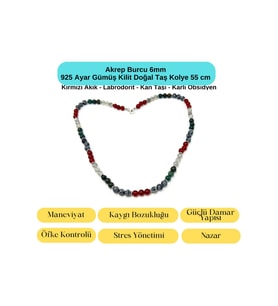 SERTİFİKALI Akrep Burcu 6mm 925 Ayar Gümüş Doğal Taş Kolye 55 cm