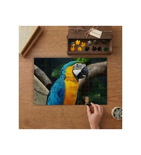 Mavi Sarı Renklerdeki Papağan Tasarımı 240 parça Ahşap Puzzle Ahşap Kutuda MP03020