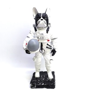 BY ARİ BULLDOG ASTRONOT BİBLO BB336-6