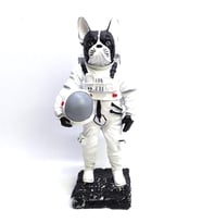 BY ARİ BULLDOG ASTRONOT BİBLO BB336-6