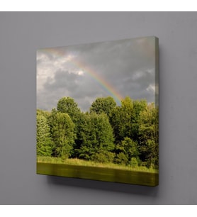 ORMAN VE DENİZ KANVAS TABLO 80x80cm (Karışık)