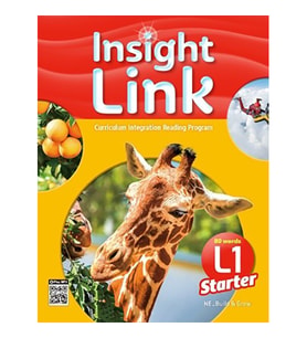 Insight Link Starter 1 (D)