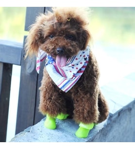 Pazariz Silikon Köpek Ayakkabı M Beden