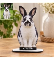 Kişiye Özel Evcil Hayvan Fotoğraflı MDF Karikatürlü 18 cm MDF Masaüstü Biblo - Masaüstü Hediye 6. Model