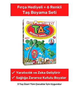 3 Yaş Üstü Çocuklar Için Zeka Geliştirici 6 Renk Akrilik Boyalı Fırçalı Taş Boyama Aktivite Seti