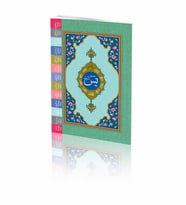 HAYRAT RENKLİ YASİN CÜZÜ HAFIZ BOY FİHRİSTLİ YS0020