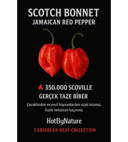 SCOTCH BONNET JAMAICAN RED PEPPER 350.000 Scoville - Gerçek Taze Acı Biber