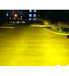 H4 LİMON SARISI AMPUL  Weather Vısıon Xenon Effect