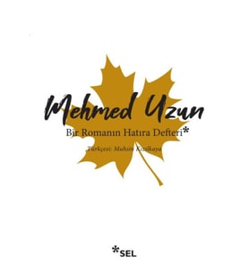 Bir Romanın Defteri