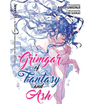 Grimgar Of Fantasy And Ash (Light Novel) Vol. 11