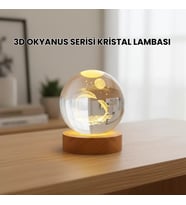 3d Yunus Desenli Kristal Küre Ahşap Tabanlı Işıklı Dekor Objesi