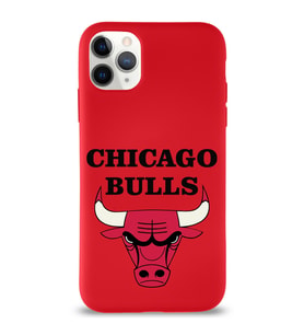 Apple iPhone 11 Pro Uyumlu Lansman Kılıf Chicago Bulls Tasarımlı Altı Kapalı İçi Kadife Kaplı  Kapak (Şeffaf)