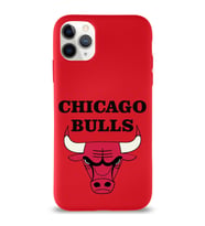 Apple iPhone 11 Pro Uyumlu Lansman Kılıf Chicago Bulls Tasarımlı Altı Kapalı İçi Kadife Kaplı  Kapak (Şeffaf)