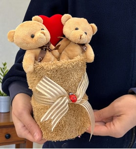 Premium 2'li Peluş Kahve Ayıcık Buketi Peluş Saksıda Peluş Ayıcıklar