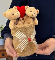 Premium 2'li Peluş Kahve Ayıcık Buketi Peluş Saksıda Peluş Ayıcıklar