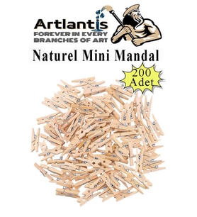 Naturel Mini Mandal Ahşap 200 Adet Renksiz Minik Mandal Dekoratif Süsleme Fotoğraf Asma Mandalı Dekarasyon