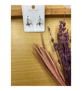 Xuping Taşlı Minimal Halka Küpe