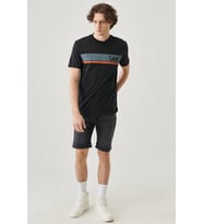 Logo T-shirt Green Mist (Çok Renkli)