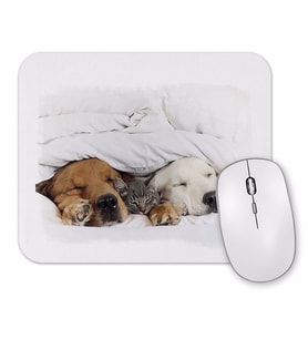 Cats Collection Three Mouse Pad.jpg