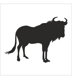 BUFALO FOLYO STİCKER 160cm Uzunluk (Karışık)