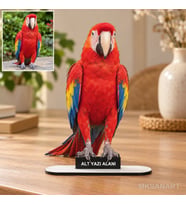 Kişiye Özel Fotoğraflı Evcil Hayvan Fotoğraflı MDF Karikatürlü 18 cm MDF Masaüstü Biblo - Masaüstü Hediye 4. Model