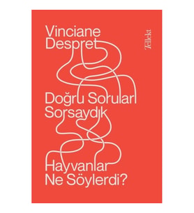 Doğru Soruları Sorsaydık  Hayvanlar Neler Söylerdi?