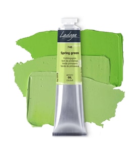 St. Petersburg Ladoga Yağlı Boya 46 ml Spring Green 748 
