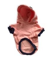 Light Pink Flower Pocket Sweatshirt Kedi Süeteri Kedi Kıyafeti