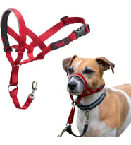 Company of Animals Baş Tasması - Dolgulu Burun Bandı, Ayarlanabilir ve Yansıtıcı, Küçük Köpekler İçin Profesyonel Çekme Önleyici Eğitim Yardımcısı (Boyut 1, Kırmızı)