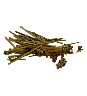 LokmanAVM Kayışkıran Otu Doğal 100 Gr Paket (Yeşil)