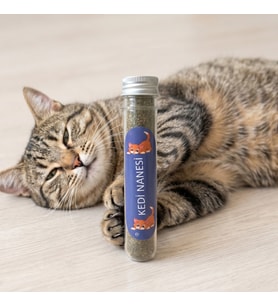 Doğal Kedi Nanesi (Catnip) - 45 ml Tüp - Pratik ve Taze