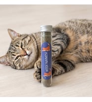 Doğal Kedi Nanesi (Catnip) - 45 ml Tüp - Pratik ve Taze