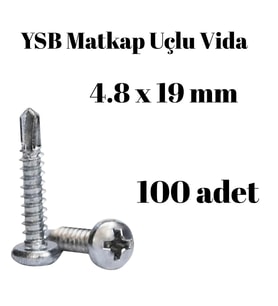 Yıldız Silindir Başlı 4.8x19 YSB Matkap Uçlu Akıllı Vida 100 Adet