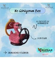 Ne Görüyorum Ben? Taksi Süren Flamingo Tung Tung Sahur Karakteri 9 Cm Figür