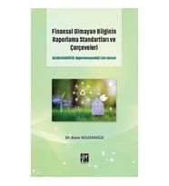 Finansal Olmayan Bilginin Raporlama Standartları ve Çerçeveleri